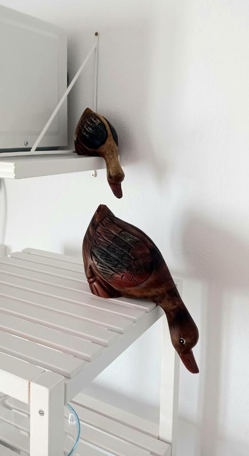 阿雷西费Casa Pescado Y Mariposas公寓 外观 照片